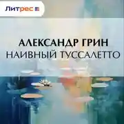 Постер книги Наивный Туссалетто
