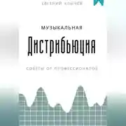 Постер книги Музыкальная дистрибьюция