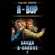 Постер книги Банда в законе