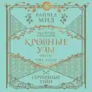 Постер книги Серебряные тени