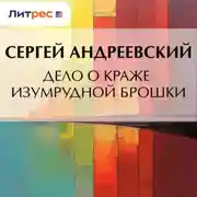 Постер книги Дело о краже изумрудной брошки