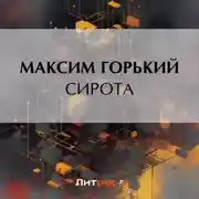 Постер книги Сирота