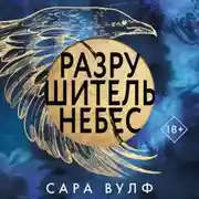 Постер книги Разрушитель небес