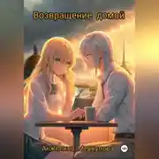 Постер книги Возвращение домой