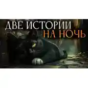 Постер книги Две страшно интересные истории