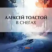Постер книги В снегах
