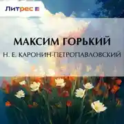Постер книги Н. Е. Каронин-Петропавловский