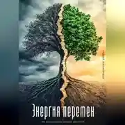 Постер книги Энергия перемен. Как использовать кризисы для роста