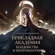Постер книги Прикладная академия колдовства и некромантии 2