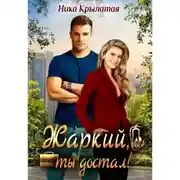Постер книги Жаркий, ты достал!