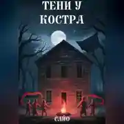 Постер книги Тени у костра
