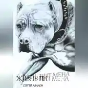 Постер книги Жизнь Пит мена