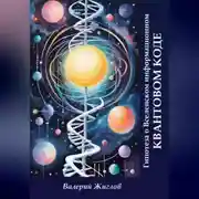 Постер книги Гипотеза о Вселенском информационном квантовом коде