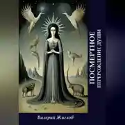 Постер книги Посмертное перерождение души
