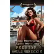 Постер книги Ревизор: возвращение в СССР 35