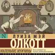 Постер книги Маленькие мужчины
