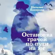 Постер книги Остановка грачей по пути на юг