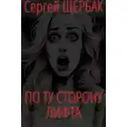 Постер книги По ту сторону лифта