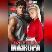 Постер книги Теремок для мажора