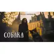 Постер книги Собака