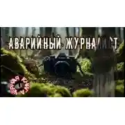 Постер книги Аварийный журналист