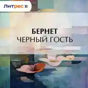 Постер книги Черный гость