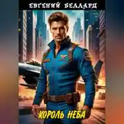 Постер книги Король неба