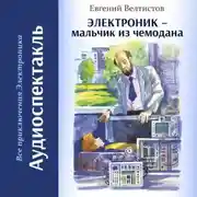 Постер книги Электроник – мальчик из чемодана