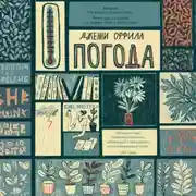 Постер книги Погода