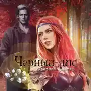 Постер книги Черный лис