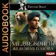 Постер книги Медвежонок Железная Голова