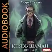 Постер книги Князь шаман. Книга 7