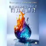 Постер книги Близнецовое пламя. Активация встречи