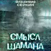 Постер книги Смысл шамана
