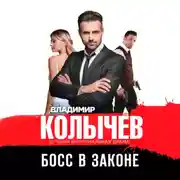 Постер книги Босс в законе