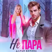 Постер книги Не пара