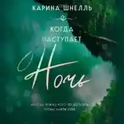 Постер книги Когда наступает ночь