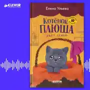 Постер книги Котенок Плюша ищет семью