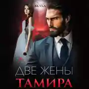 Постер книги Две жены Тамира