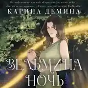 Постер книги Ведьмина ночь