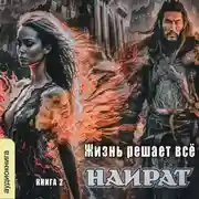 Постер книги Жизнь решает всё