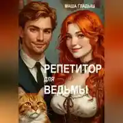 Постер книги Репетитор для ведьмы