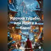 Постер книги Ирония судьбы, или Идите в баню!