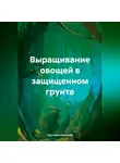 Светлана Антонова - Выращивание огурца в защищенном грунте