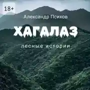 Постер книги Хагалаз