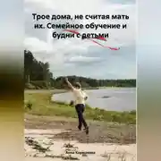 Постер книги Трое дома, не считая мать их. Семейное обучение и будни с детьми