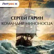 Постер книги Командир миноносца