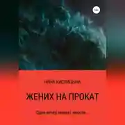 Постер книги Жених на прокат