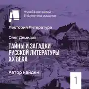 Постер книги Автор найден!
