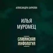Постер книги Илья Муромец